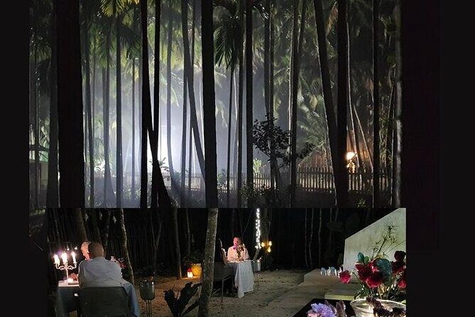 Steak or Lobster dinner in a magical jungle setting. - Key things to know before you go