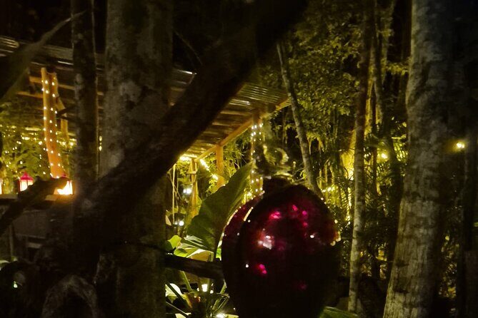 Steak or Lobster dinner in a magical jungle setting. - Jungle Candlelight in Playa del Carmen: The Dinner That Feels Like a Night Out of Town
