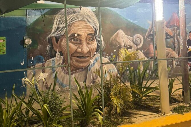 Street Art & Cemetery Cultural Tour - half day - Street Art Meets a Cemetery Lesson in Playa del Carmen