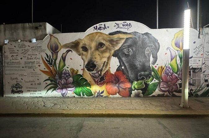 Street Art & Cemetery Cultural Tour - half day - Pickup, Private Group Format, and 3–4 Hour Timing