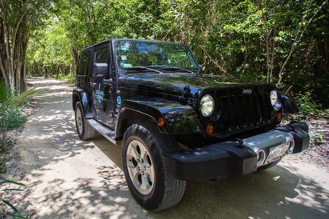 Super Cozumel Combo Snorkel by Boat and Jeep Exploration (Private) - The Boat Portion: Getting Out There Without Making It a Whole Project