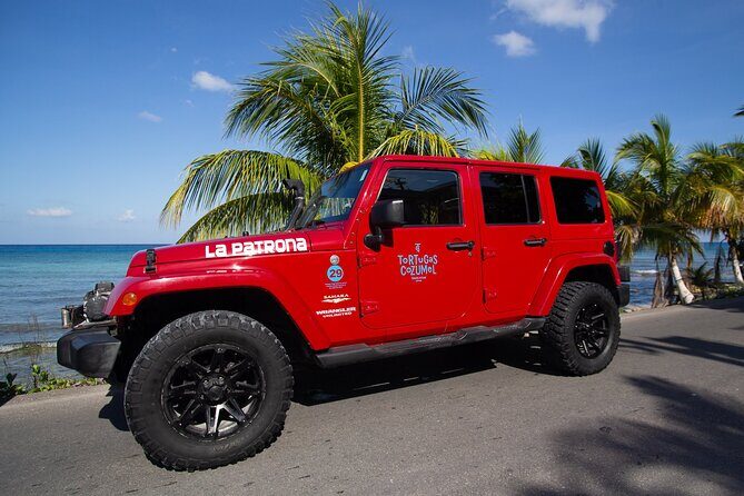 Super Cozumel Combo Snorkel by Boat and Jeep Exploration (Private) - Lunch at Tortugas: What You Get and Why It’s a Real Win