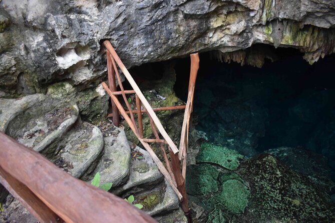 Swim in 4 different Cenotes in Casa Tortuga Park - Timing tips: when to arrive and how to avoid the bored-between-swims feeling