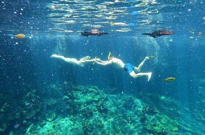 Tankah Mayan Village Zipline Nature Park - Open cenotes and snorkeling: the real reason people fall for Tankah