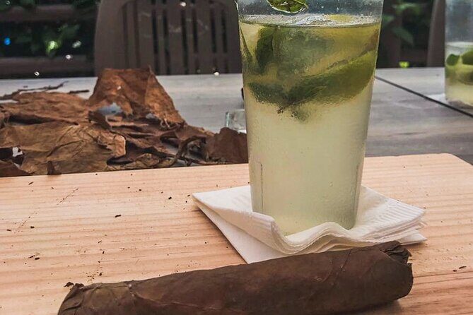 Taste of Mexico: Rolling Cigar & Tequila Experience with transfer - Cigar rolling and the tequila bar: what the Habano masterclass is really like