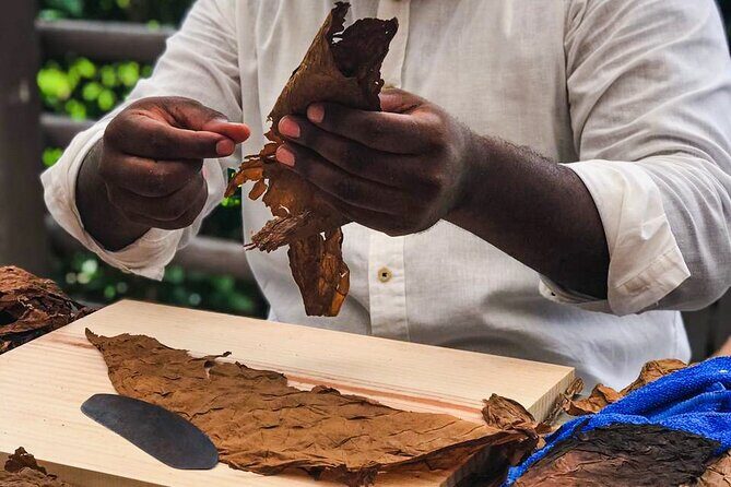 Taste of Mexico: Rolling Cigar & Tequila Experience with transfer - Cozumel downtown shopping: narrow streets, souvenirs, and price pressure