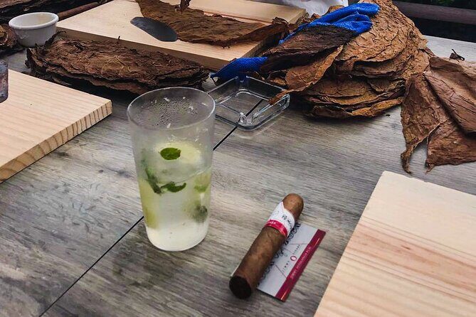 Taste of Mexico: Rolling Cigar & Tequila Experience with transfer - Who this tour fits best (and who should skip)