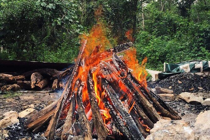 Temazcal Experience in Tulum Alternative Medicine Maya Heritage - The Tulum Jungle Ranch setting and what you might notice there