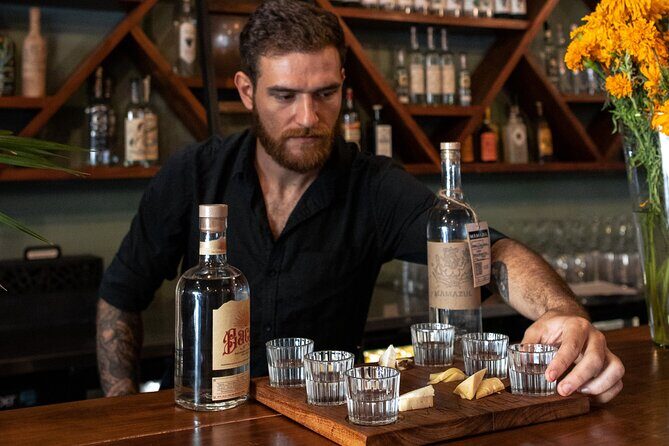 Tequila and Mezcal Tasting in Tulum with Cheese Pairing - The Lineup: Six Small-Batch Sips From Oaxaca to Other Mezcal States