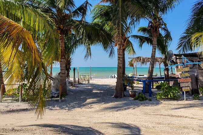 The best of Holbox from Tulum - Stop 1: Holbox Island with real free time (2 hours)