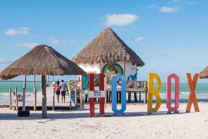 The best of Holbox from Tulum - Isla de la Pasión for wildlife: short, focused, and photo-friendly (30 minutes)