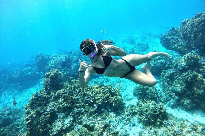 The Cozumel Turtle Sanctuary Snorkel Tour - Boat time, guides, and snorkel gear: what to expect on the water