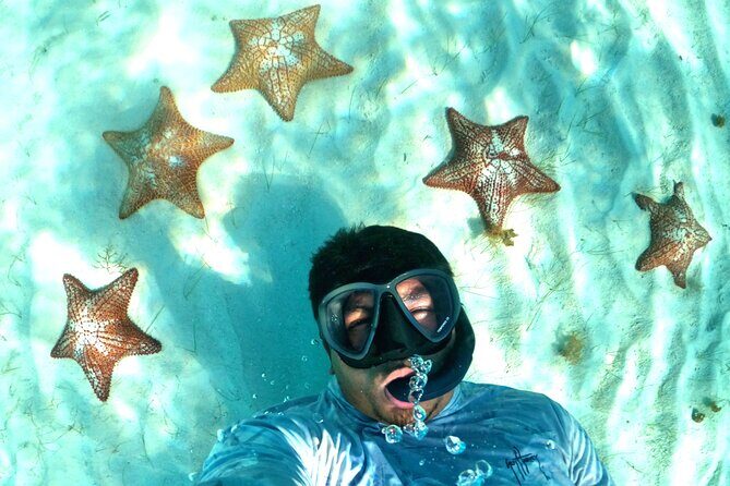 The Cozumel Turtle Sanctuary Snorkel Tour - Price and value: the $64 ticket plus what you pay on the day