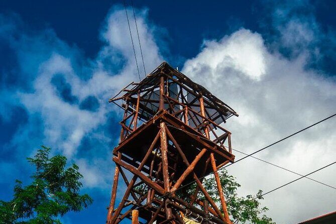 The Original Cozumel Zipline Adventure - Best for families, first-timers, and outdoorsy types