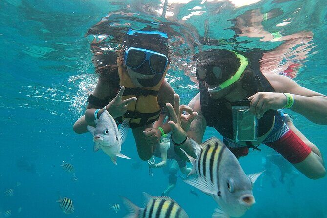 The Perfect Day in Chankanaab Park Cozumel - Chankanaab Reef: snorkeling meters from shore in Cozumel