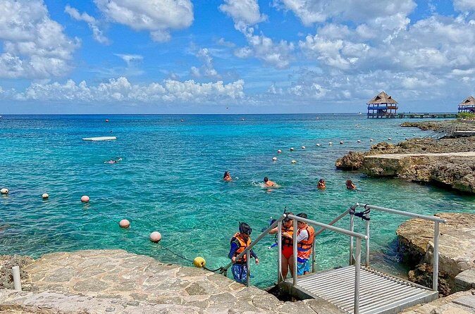 The Perfect Day in Chankanaab Park Cozumel - Royal Village pickup: how the meeting point affects your day