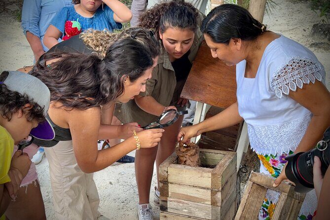 Tierra Maya – Sanctuary of Living Mayan Traditions - Tasting Menu: Melipona Honey and Seasonal Liqueurs