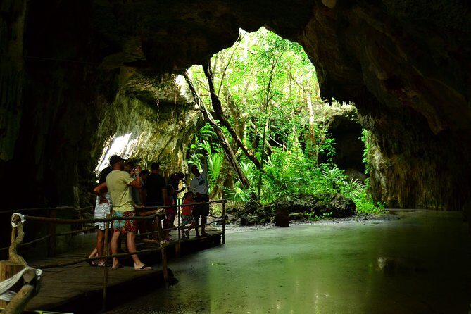 Tortugas & Cenotes Snorkel With Turtles Tour - Reef snorkeling and turtle spotting in the Akumal or Tulum zone