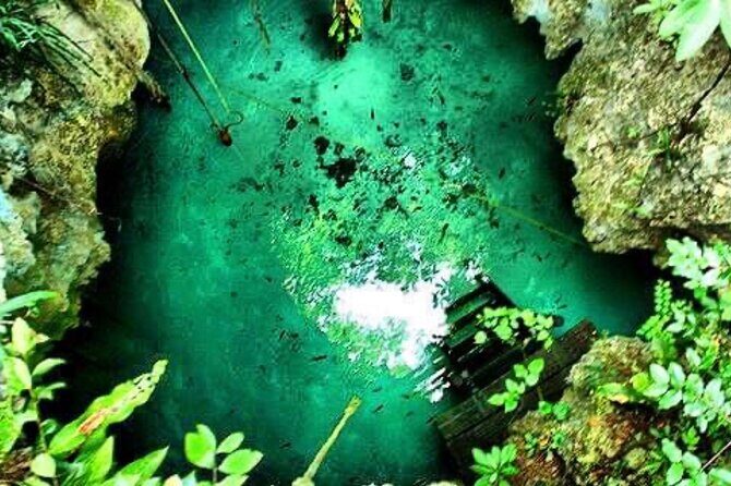 Tour Cenote Santa Cruz - Who should book this Cenote Santa Cruz tour