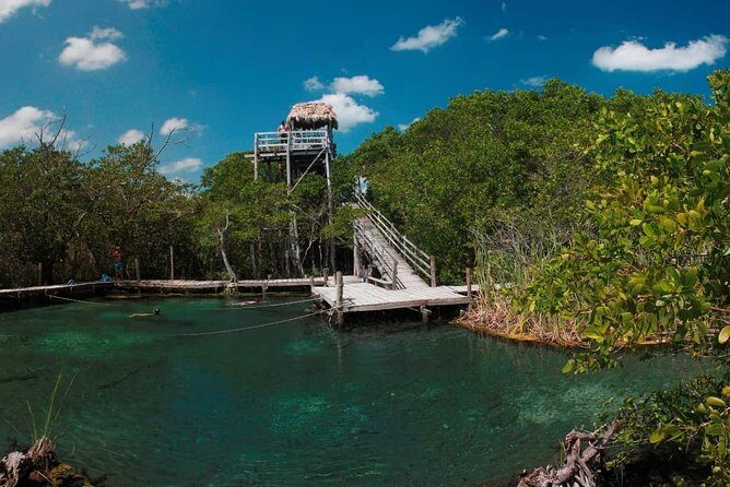 Tour Holbox - Two Island & Cenote from Cancun & Playa Del Carmen - Isla de la Pasion (Isla Pájaros): sandbars and birds, not just another beach