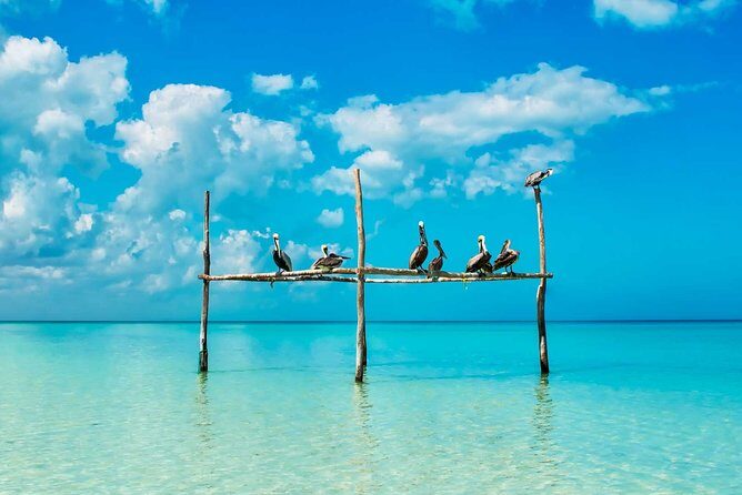 Tour Holbox - Two Island & Cenote from Cancun & Playa Del Carmen - Punta Mosquito: a classic Holbox-style beach stop with shallow water
