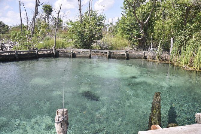 Tour Holbox - Two Island & Cenote from Cancun & Playa Del Carmen - What you actually get for $168: value math that’s easy to miss