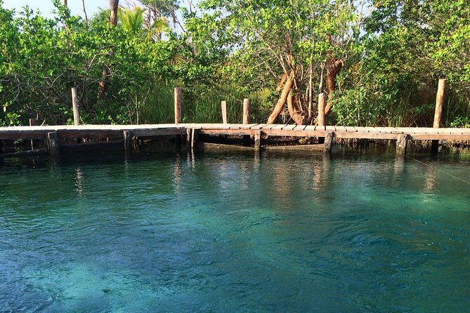 Tour Holbox - Two Island & Cenote from Cancun & Playa Del Carmen - Yalahau Lagoon cenote: your first “wait, this is real?” water stop