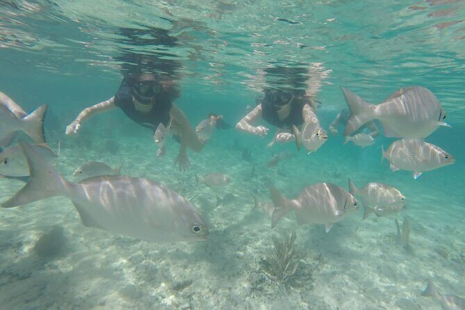 Tour in Buggy Cedral History Snorkeling and Lunch in Cozumel - What’s included (and what you’ll likely spend extra on)