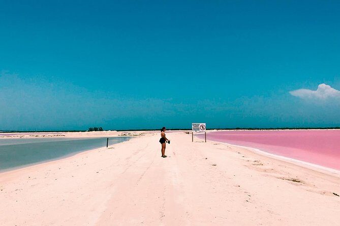 Tour Las Coloradas & Rio Lagartos only from Tulum - Key highlights worth knowing