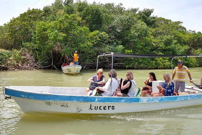 Tour Las Coloradas & Rio Lagartos only from Tulum - Transportation and Group Size: Where the Day Can Shine or Drag
