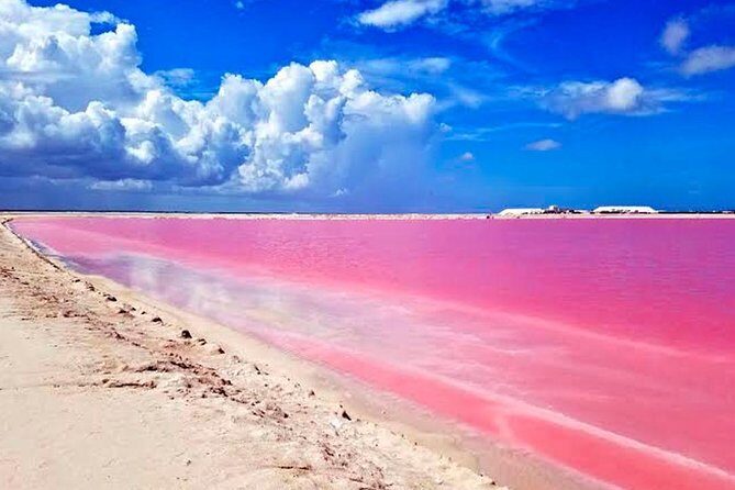 Tour Las Coloradas & Rio Lagartos only from Tulum - Price and Value: Is $110 a Smart Deal?
