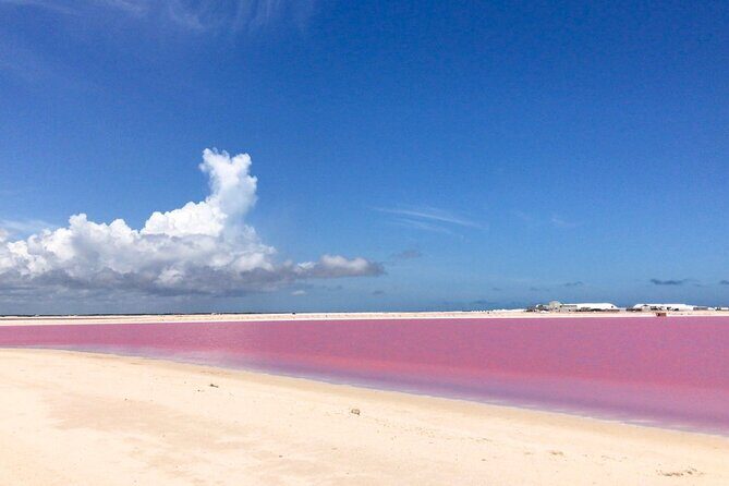 Tour Las Coloradas & Rio Lagartos only from Tulum - Should You Book Las Coloradas & Rio Lagartos From Tulum?
