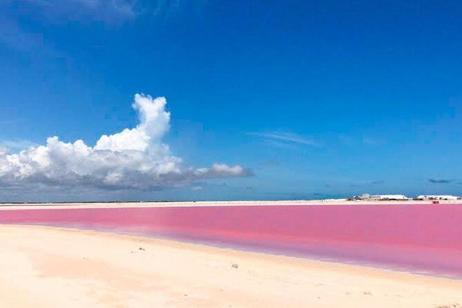 Tour Las Coloradas & Rio Lagartos only from Tulum - Rio Lagartos: Biosphere Reserve Birds and Water Ecosystems