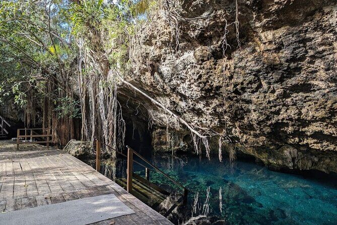 Tour to Cenote Cave and Sea Turtles Encounter - Akumal Beach and sea turtles: snorkeling in a real grazing habitat