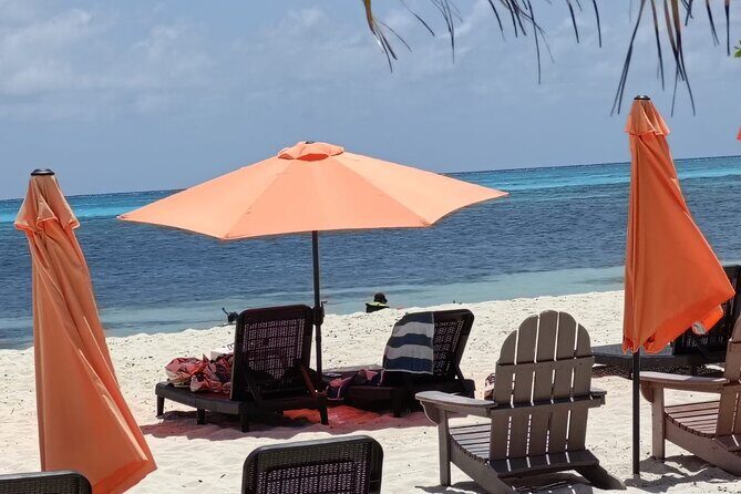 Tour to Cozumel Eco Nature Escape and Otoch Mayan Experience - Laguna Colombia: mangroves, wildlife, and quiet water