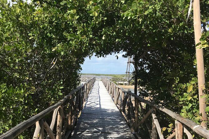 Tour to Cozumel Eco Nature Escape and Otoch Mayan Experience - Celarain Lighthouse: views that cost effort