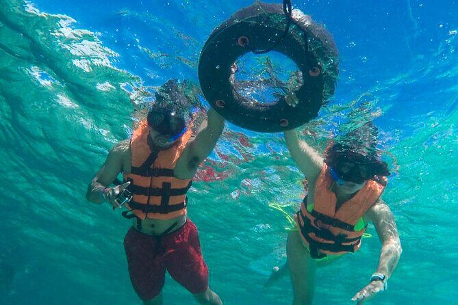 Tour to swim with turtles - Who this tour suits best (and who should consider another plan)