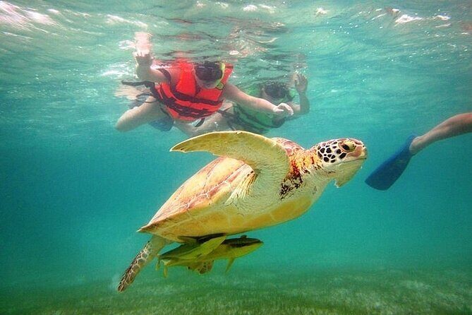 Tour to Tulum and cenote with swimming with turtles from Riviera Maya - Stop 4: Tulum archaeological site with Caribbean views