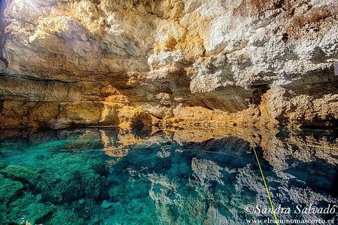 Tour Tulum Coba Cenote and Playa del Carmen (4 in 1) - Stop 3: Cho-ha Cenote—Swimming Time, Life Jacket Fees, and What to Bring