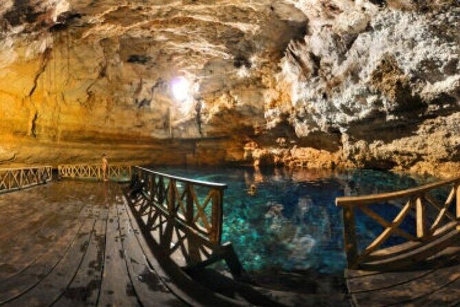 Tour Tulum Coba Cenote and Playa del Carmen (4 in 1) - Stop 4: Fifth Avenue in Playa del Carmen—The One-Hour Reality Check