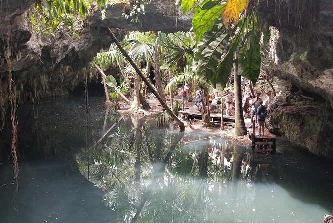 Tours On The Island Cozumel - A Private Cozumel Cenote Day That Moves (Fast)