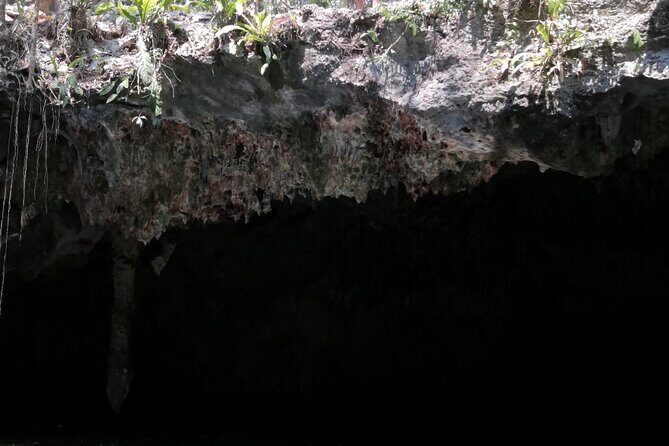 Tours On The Island Cozumel - Who This Tour Fits Best (And Who Might Skip)