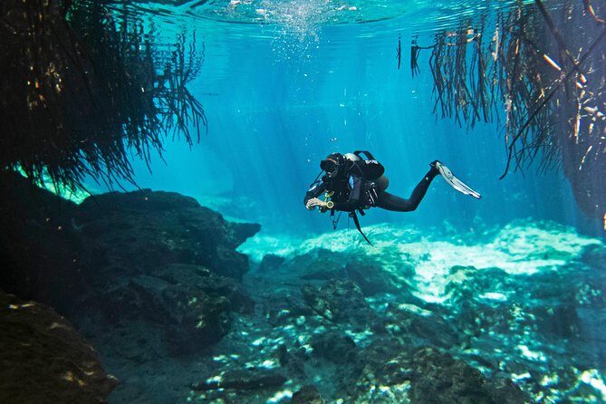 Try dive in beautiful Casa cenote for 2 people - Key highlights at Casa Cenote (what matters most)