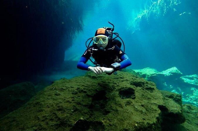 Try dive in beautiful Casa cenote for 2 people - Price and value: what $190 per person really buys