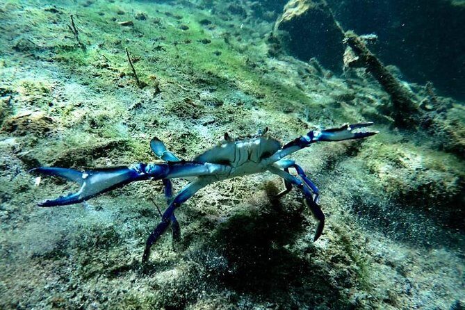 Try dive in beautiful Casa cenote for 2 people - Pickup from Playa del Carmen and the 7-hour pacing