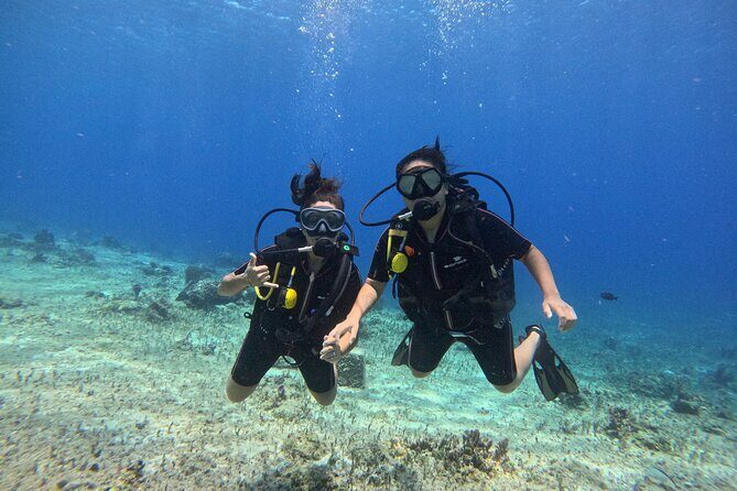 Try diving without previous experience from shore - Cousteau’s Underwater Museum and the Coral Reconstruction Area
