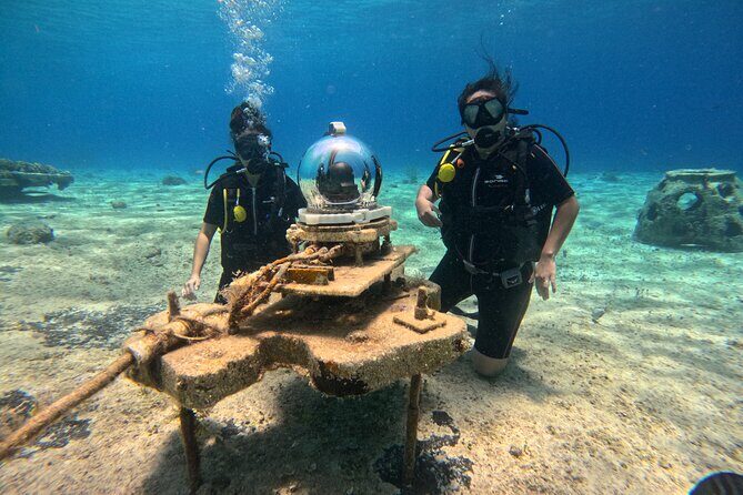 Try diving without previous experience from shore - What You’ll See Underwater (So You Can Look With Purpose)