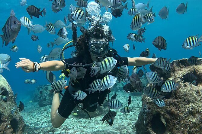 Try diving without previous experience from shore - Timing, Location, and What to Expect on Arrival