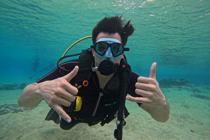 Try diving without previous experience from shore - How the Basic Diver Program Teaches Skills Without Pressure