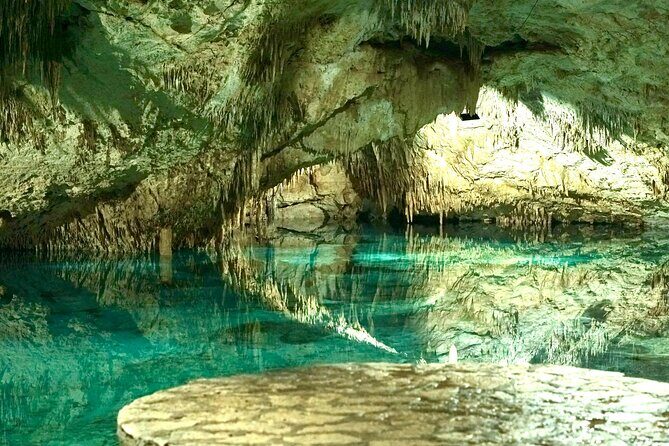 Tulum + 2 Cenotes & Authentic Taco Adventure - The taco adventure in Playa del Carmen: real food, no long speeches